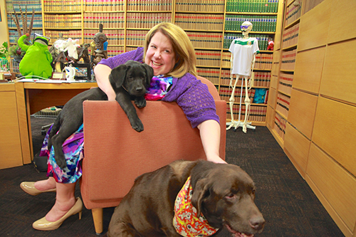 Me Goldwater aiment avoir ses chiens au bureau